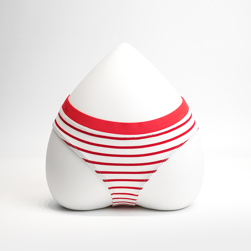 여성 여성 브리프