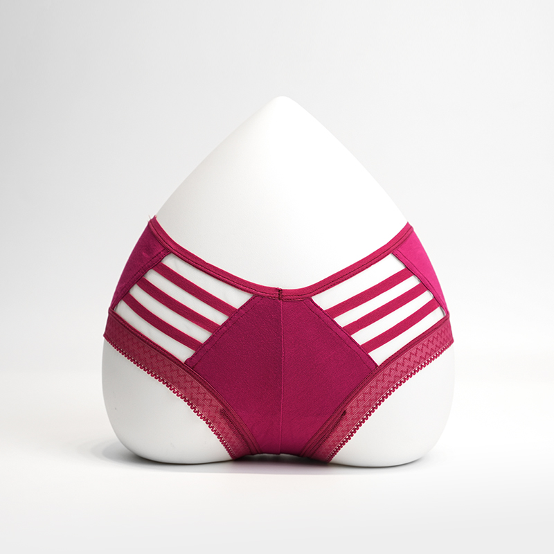 여자의 여자의 브리프